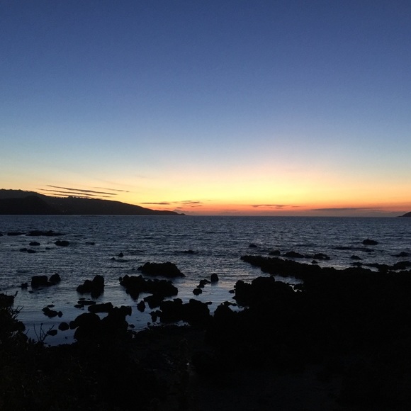 Meet your Posher, Deanne and Ruby πββ¬. - Picture 16 of 16